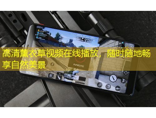 高清薰衣草視頻在線播放，隨時(shí)隨地暢享自然美景