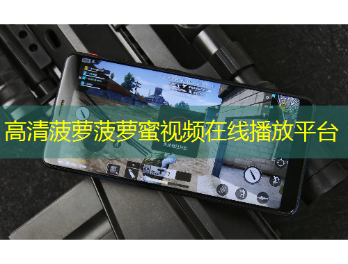 高清菠蘿菠蘿蜜視頻在線播放平臺(tái)