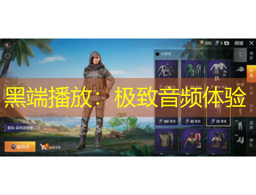 黑端播放：極致音頻體驗(yàn)